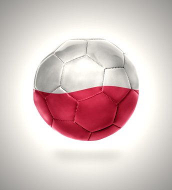 Polonya Futbol