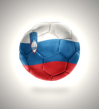 Slovenya futbol