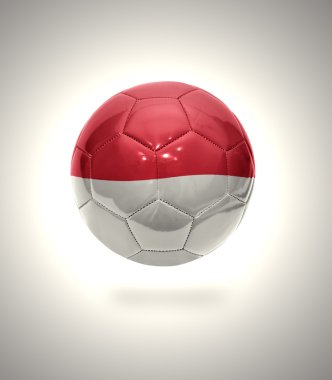 Endonezya futbol