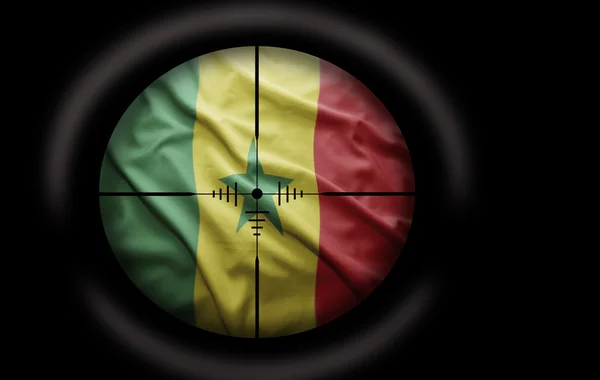 Senegalese Target — Stock Photo, Image