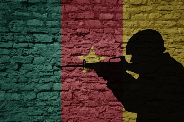 Soldaat Silhouet Oude Bakstenen Muur Met Vlag Van Kameroen Land — Stockfoto