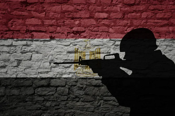 Silueta Soldado Antigua Pared Ladrillo Con Bandera Del País Egipcio — Foto de Stock