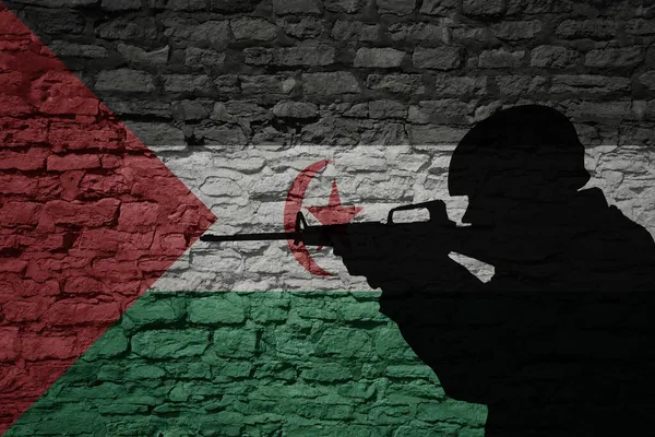 Katona Sziluett Régi Téglafalon Szahrawi Arab Demokratikus Köztársaság Zászlajával Katonai — Stock Fotó