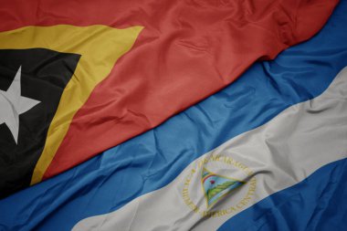 Doğu Timor 'un renkli bayrağını ve Nikaragua' nın ulusal bayrağını sallıyordu. Makro. 3d illüstrasyon