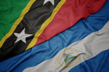 Azize Kitts, Nevis ve Nikaragua bayrağının renkli bayrağını sallıyordu. Makro. 3d illüstrasyon