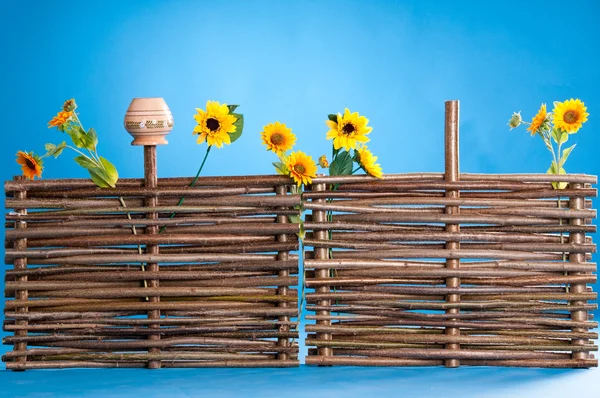 Vaso tradicional ucraniano con girasoles y maceta — Foto de Stock