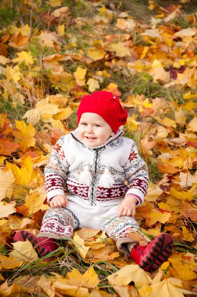Little cute baby girl on a background of autumn leaves — Stock Photo, Image