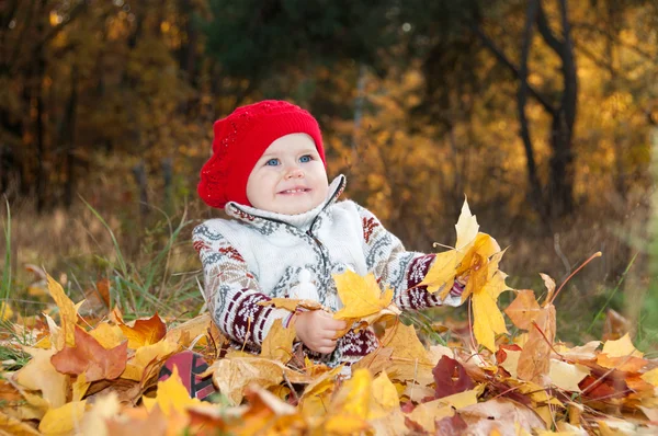 Pequena menina bonito em um fundo de folhas de outono — Fotografia de Stock