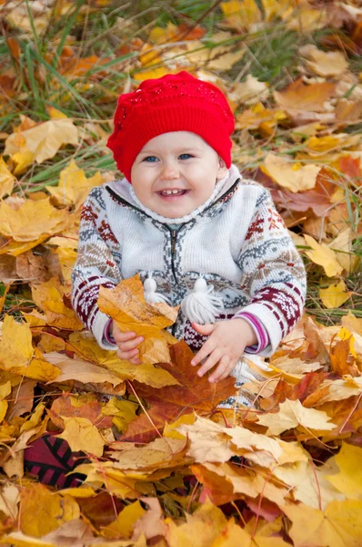 Schattige babymeisje op een achtergrond van de herfst bladeren Stockafbeelding