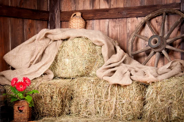 köy binanın iç. tekerlek, saman, kova, şişe, bez, bir pot çiçek.