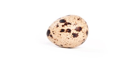 Beyaz arka planda bıldırcın yumurtaları.