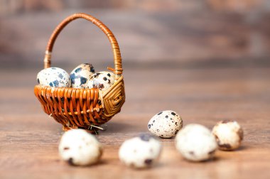 bıldırcın yumurtası Anakartları arka sepet içinde.