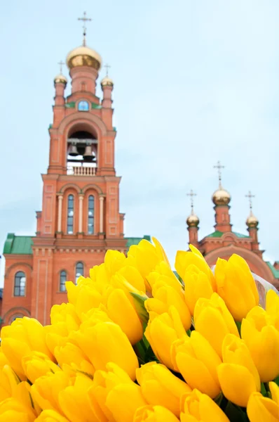 Kiev Holy Protection Holosiivska désert. Église orthodoxe ukrainienne . — Photo