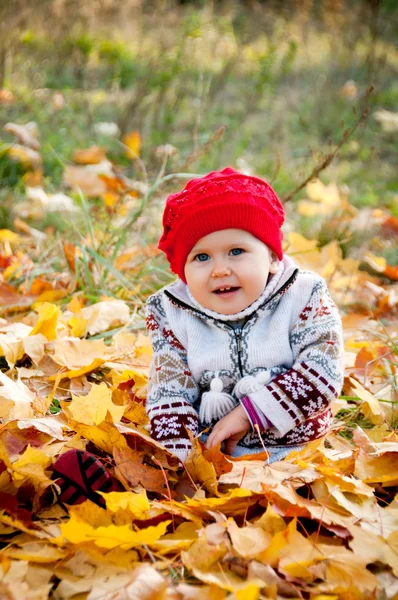 Pequena menina bonito em um fundo de folhas de outono — Fotografia de Stock