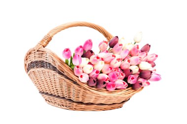 Sepette beyaz zemin üzerine lale.