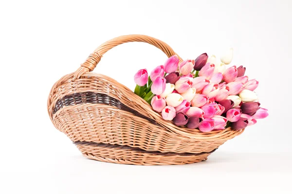 Tulips in the basket on a white background. — Stock Photo, Image