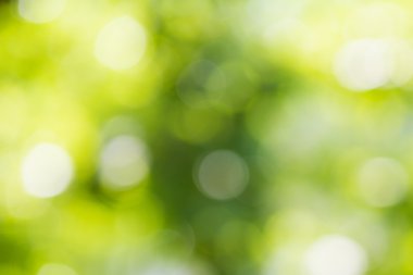 ışıklar, ufuk, arka planı yeşil, mavi bulanıklık.