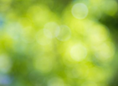 ışıklar, ufuk, arka planı yeşil, mavi bulanıklık.