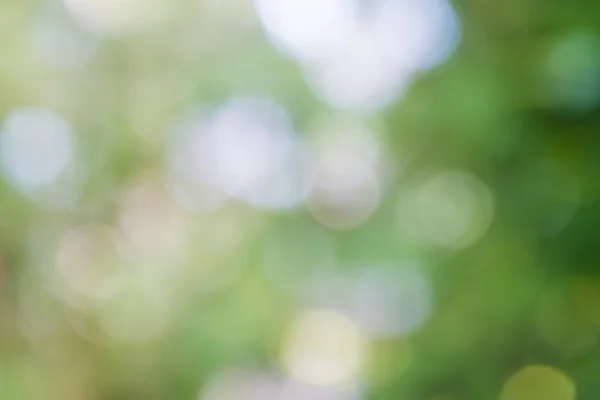 Luces borrosas, fondo desenfocado verde . — Foto de Stock