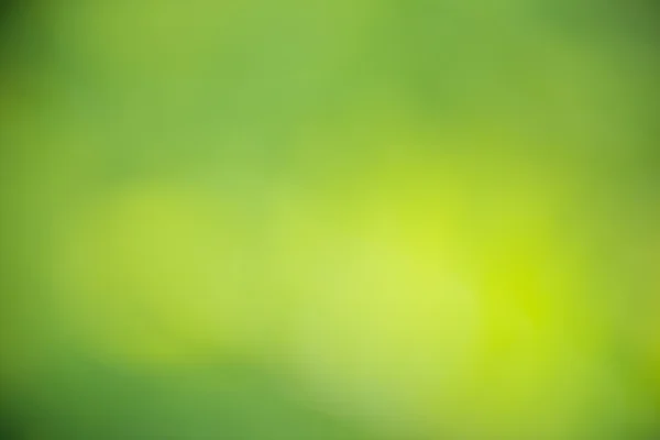 夏の太陽の光と緑の自然なボケ味. — ストック写真