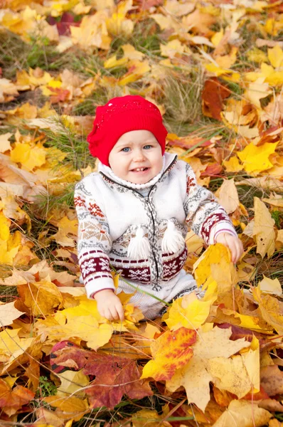 Little cute baby girl on a background of autumn leaves — Stock Photo, Image