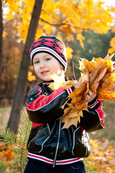 Twee-jarige jongen met een bos van Herfstbladeren — Stockfoto