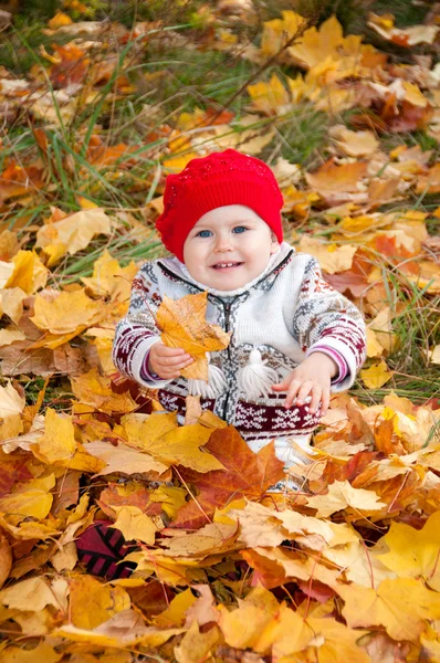 Little cute baby girl on a background of autumn leaves — Stock Photo, Image