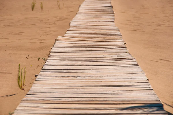 Gamla träbro på den sandiga stranden — Stockfoto