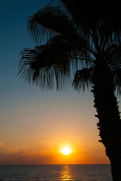 Coucher de soleil plage, mer du soir, palmiers — Photo