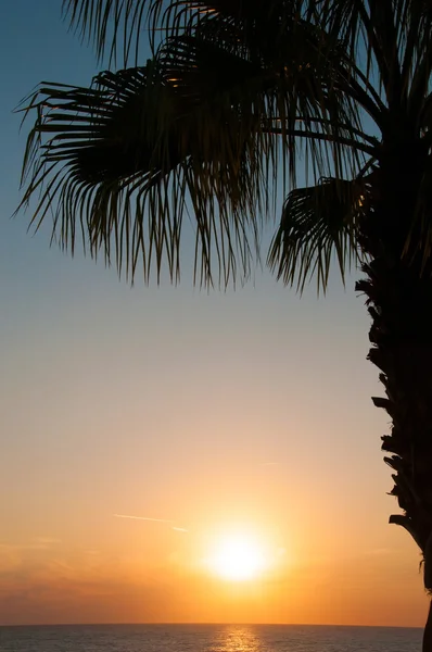 Coucher de soleil plage, mer du soir, palmiers — Photo