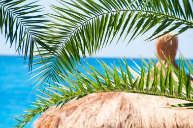 thatched çatı bungalows bir arka plan mavi denizi ve palmiye ağaçları