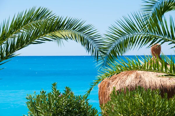 S doškovou střechou bungalovy na pozadí modré moře a palmy — Stock fotografie