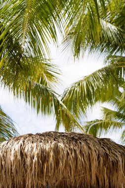 Gölge için tropik sazdan yapılmış çatılar ve kavurucu güneşten korunmak için palmiye ağaçlarının altında. Yüksek kalite fotoğraf