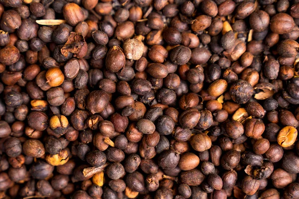 Bruine Geroosterde Cacaobonen Achtergrond Het Proces Van Het Maken Van — Stockfoto