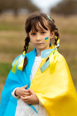 Ukrayna bayrağı gibi sarı ve mavi kurdeleli iki örgülü güzel Ukraynalı kız. Ukrayna 'yı kurtarmak için yardım istiyor. Savaşı durdurun. Yüksek kalite fotoğraf