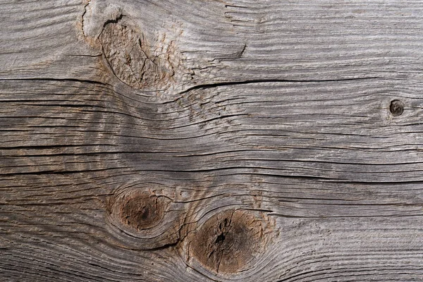 木制背景灰棕色 具有纤维不均匀结构的木质部 结节处 裂缝处 高质量的照片 — 图库照片