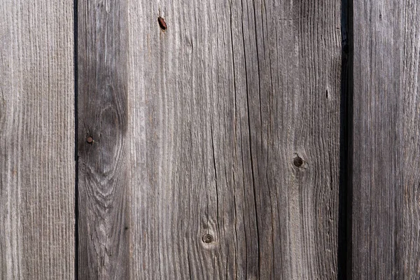 Wooden Background Gray Brown Wood Texture Fibrous Uneven Structure Places — Stockfoto
