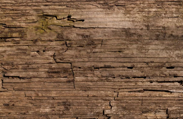 Коричневий дерев'яний фон, крупним планом дерев'яна волокниста структура з тріщинами, чіпсами та нерівною поверхнею — стокове фото