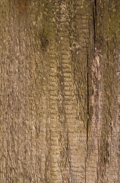 Brown Wood Background Wooden Board Close Roughness Cracks Signs Aging — Fotografia de Stock