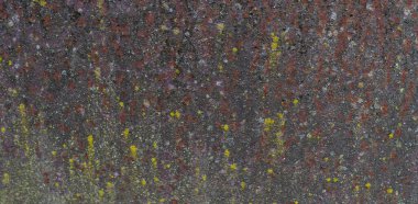 Büyük paslı, siyah bir leke ve metal korozyonla boyanmış demir yüzey. Soyulmuş ve çatlak boyalı eski bir arka plan. Yüksek kalite fotoğraf