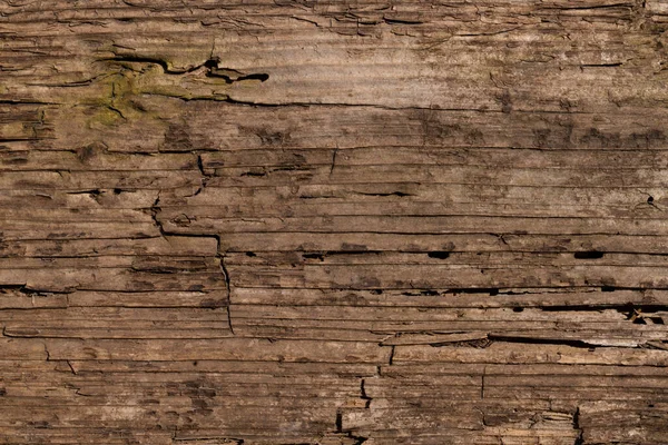 Brown Wooden Background Close Wood Fibrous Structure Cracks Chips Uneven — Photo