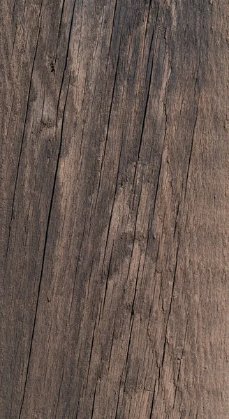 木板是用木料制成的 磨损的硬木 有裂缝和老化的迹象 高质量的照片 — 图库照片