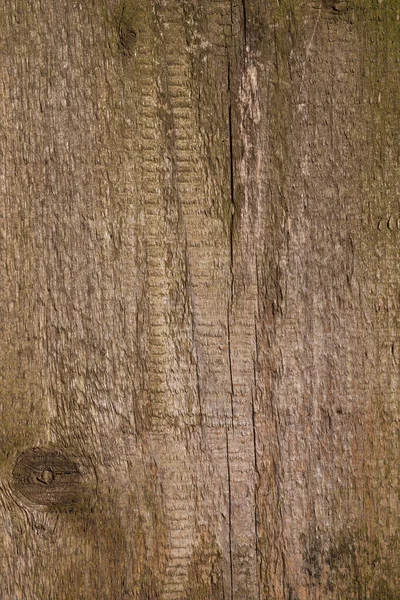 Brown Wood Background Wooden Board Close Roughness Cracks Signs Aging — Fotografie, imagine de stoc