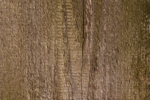 Brown Wood Background Wooden Board Close Roughness Cracks Signs Aging — Photo