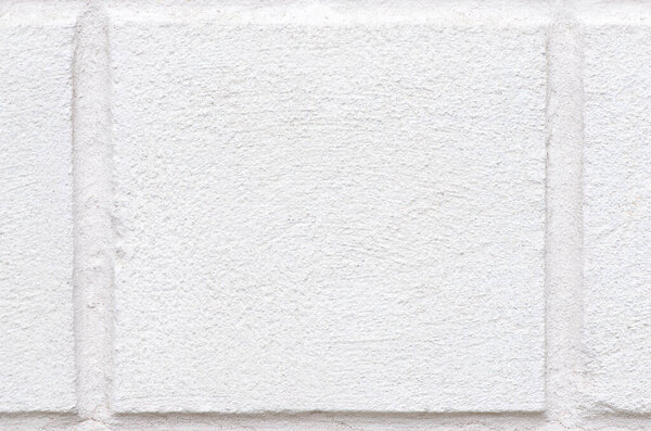 White background, plaster texture on the wall. High quality photo