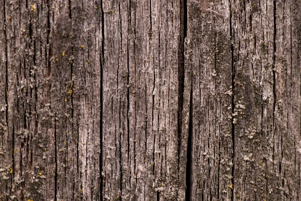 Hnědé Dřevěné Pozadí Stará Prkna Prasklinami Kvalitní Fotografie — Stock fotografie