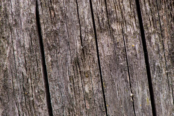 Braune Holzuntergründe Alte Bretter Mit Rissen Hochwertiges Foto — Stockfoto