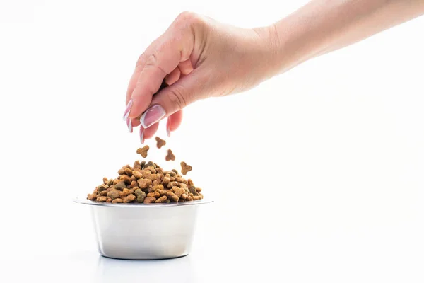 Comida Seca Para Mascotas Mano Una Mujer Vertiendo Comida Plato — Foto de Stock