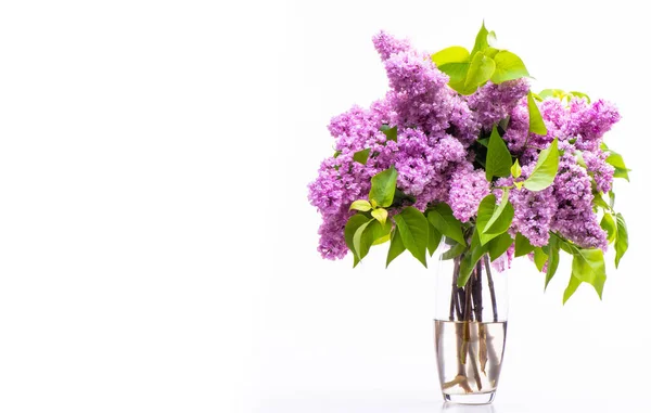 Transparent Glass Vase Flowers Branches Lush Lilac Isolated White Background — Zdjęcie stockowe