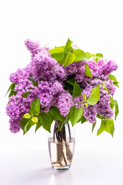 Transparent Glass Vase Flowers Branches Lush Lilac Isolated White Background —  Fotos de Stock